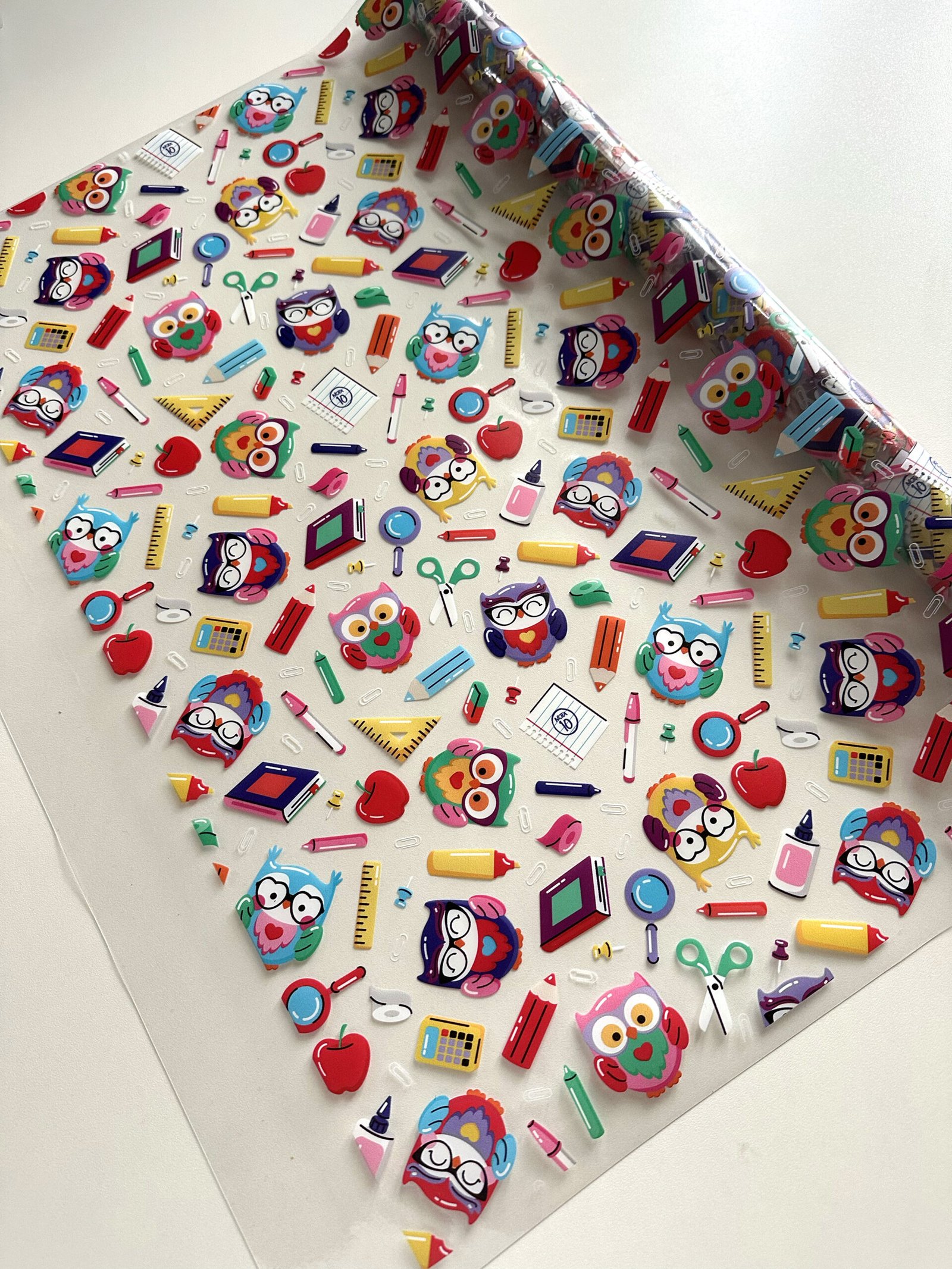 Plástico Estampado - Corujas professoras - Imagem 3